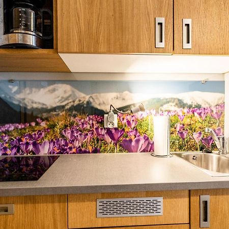 Apartamenty Sun & Snow Resorts Lipki Park Z Sauna Zakopane Kültér fotó
